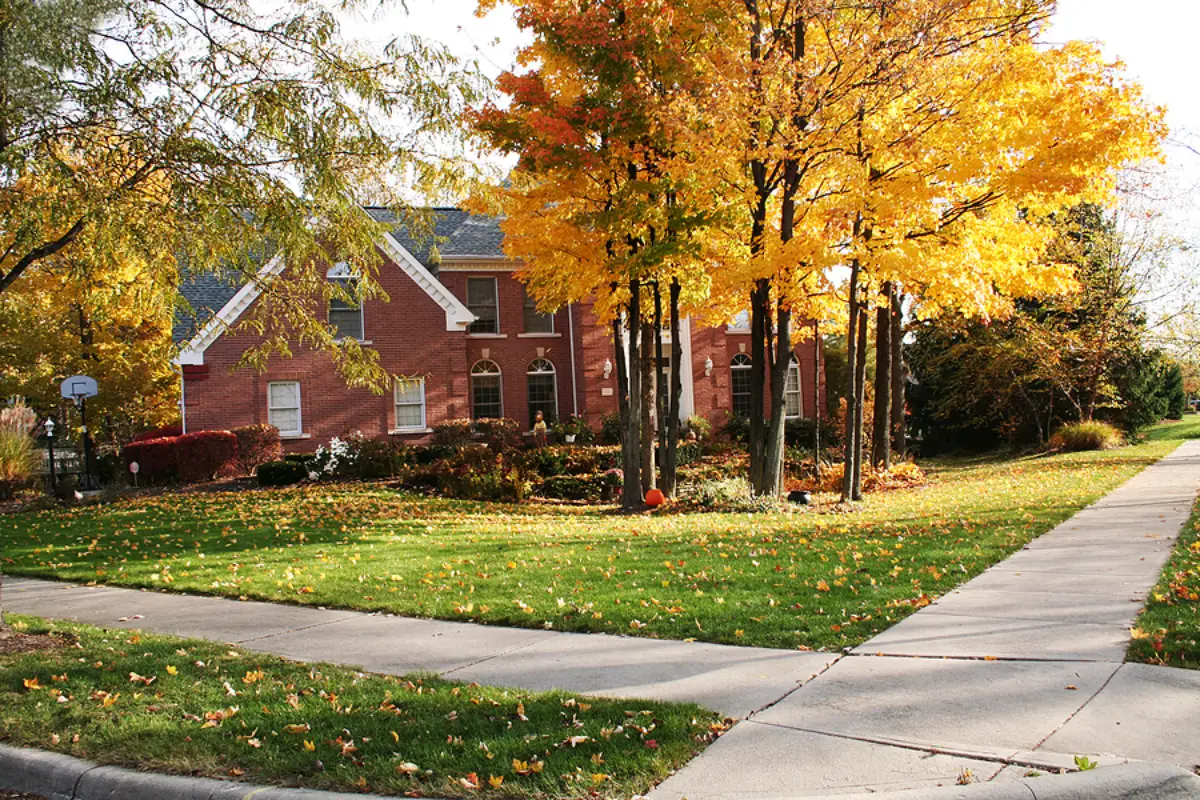 Unlocking Success in Windham: Smart Strategies for Your Vacation Rental